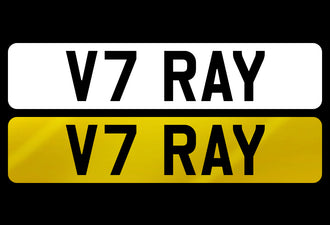 V7 RAY