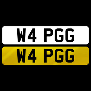 W4 PPG