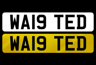 WA19 TED