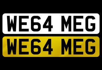 WE64 MEG