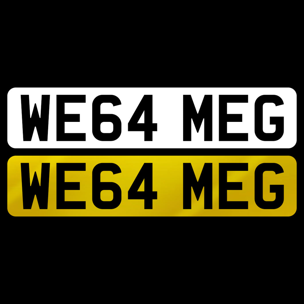 WE64 MEG