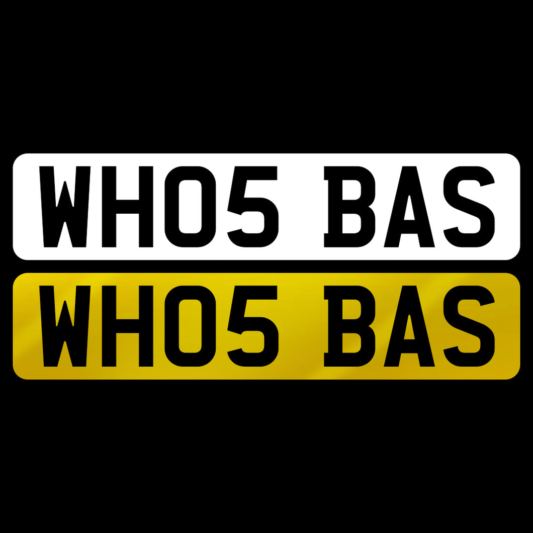 WH05 BAS