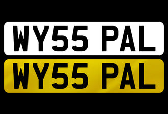 WY55 PAL
