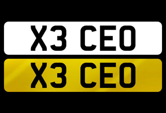 X3 CEO
