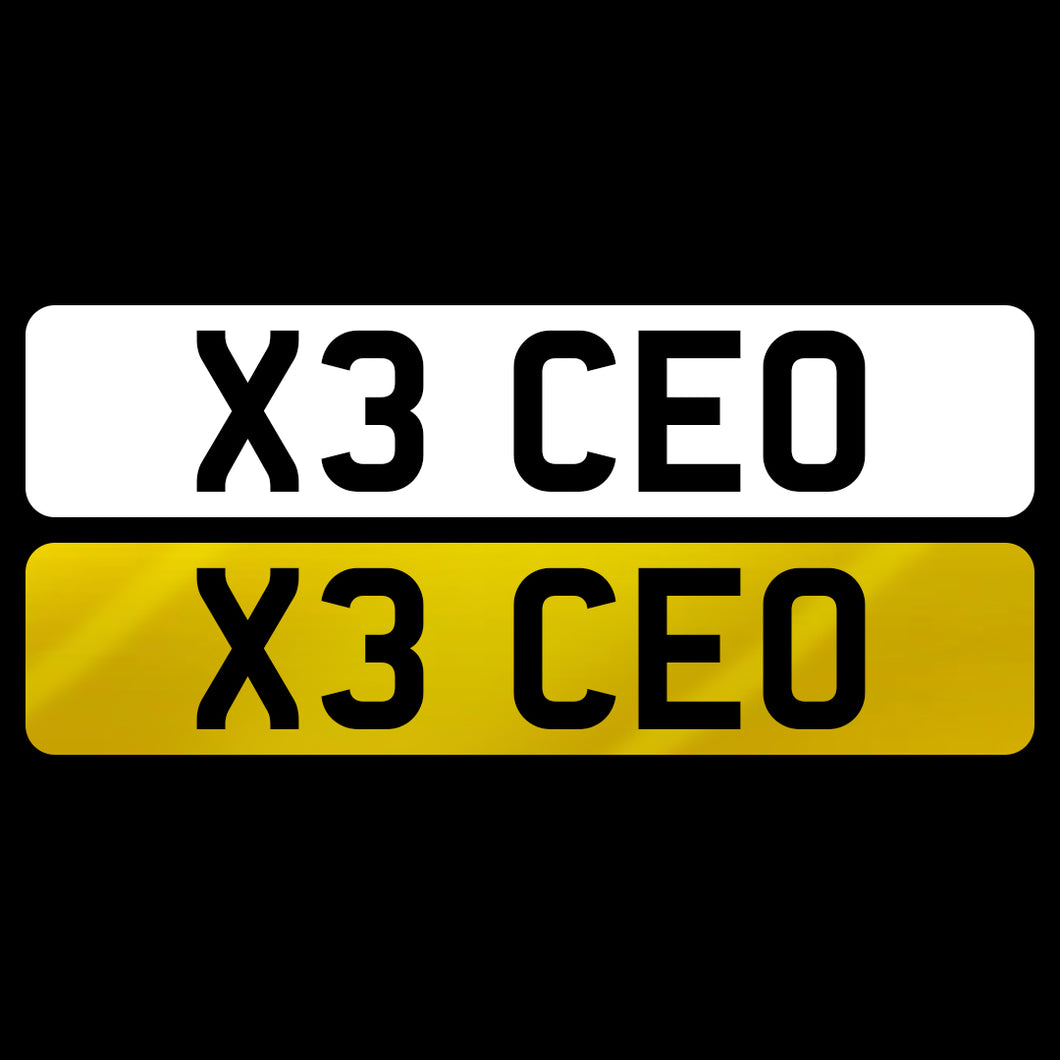 X3 CEO