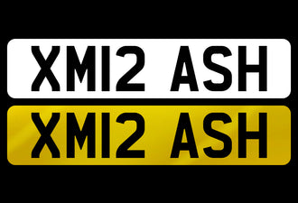 XM12 ASH