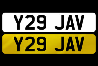 Y29 JAV