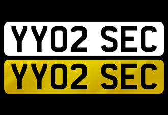 YY02 SEC