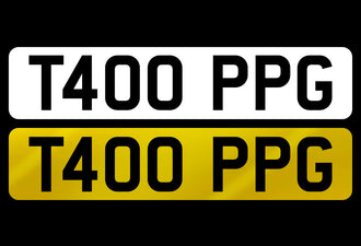 T400 PPG