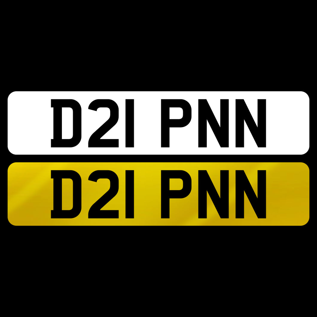 D21 PNN